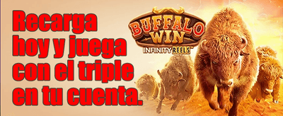 Interfaz de apuestas deportivas Master Bets 360
