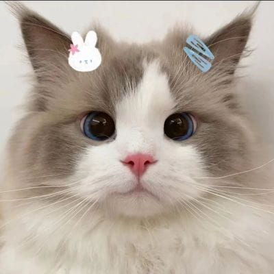 Filomena Fredes avatar
